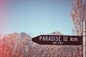 No exit from paradise hunny