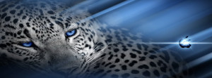Hd Leopard Facebook Cover