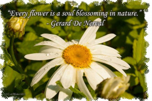 ... soul blossoming in nature.