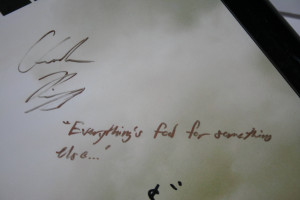 really into, like, electric pop music and dubstep, things like ...