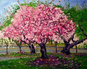 Plum Tree Blossom Spring