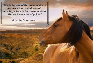 Charles Spurgeon quote.