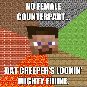 Minecraft is too politically correct for boobs