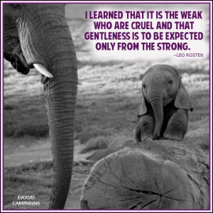 baby elephant.....