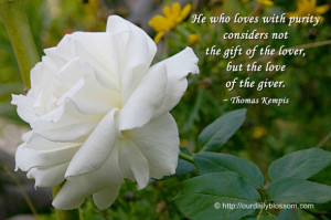 ... not the gift of the lover, but the love of the giver. ~ Thomas Kempis