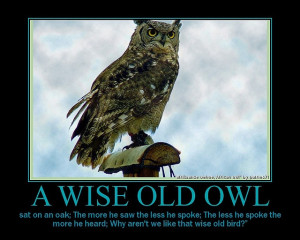 Wise Old Owl Quote #wisdom #inspiration