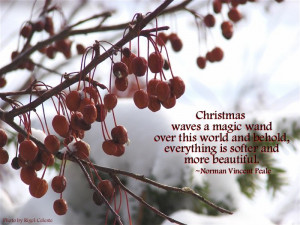 Christmas quote by Norman Vincent Peale Photo by Rigel Celeste Gregg