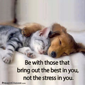 bring out the best in you ! Puppies, Cat, Dogs, Best Friends, Pets ...