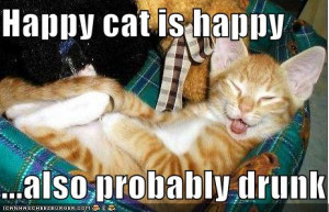 funny-pictures-happy-drunk-orange-cat