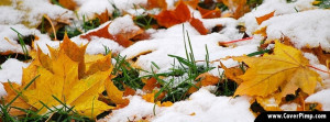 Autumn Leaves with Snow on Ground Timeline Cover