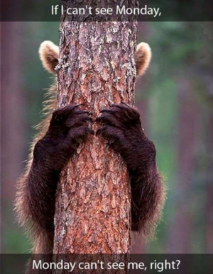 funny-Monday-morning-pictures-bear-hiding-his-eyes-W630