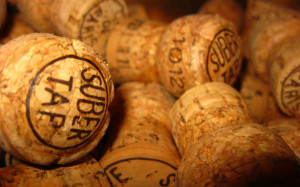 Funny Quotes Contact Us DMCA Notice