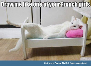 french girls meme cat animal lolcat funny pics pictures pic picture ...
