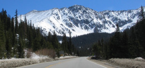 Beautiful Snow Scenes...