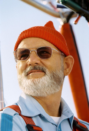 still-of-bill-murray-in-the-life-aquatic-with-steve-zissou-large ...