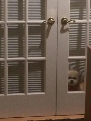 Retweets 624 Favorites 654