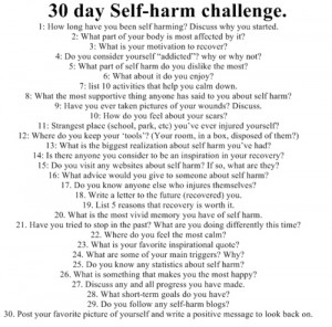Silverglittrande, Self-harm challenge, day 25