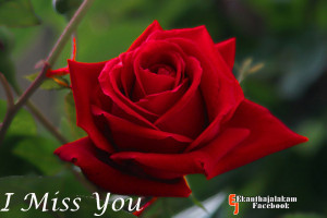 ... lonely without you where are you miss you so much miss you photos miss