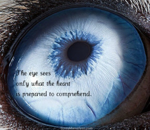 Posted by connor zanon at 2:49 PM