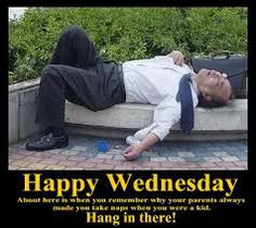 happy wednesday funny google search more daily dose happy wednesday ...