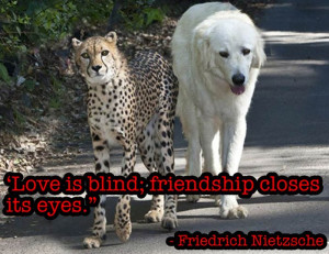 Friendship Quotes