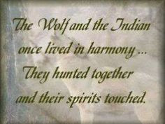 Indian Wolf | Native American Quotes Photos, Native American Quotes ...