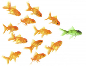 Weigh in on the debate: is thought leadership ever altruistic? Or a ...