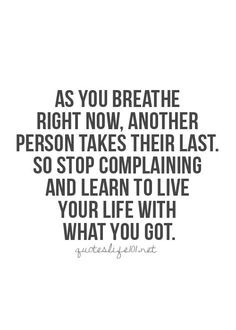 Lion And Lioness Love Quotes