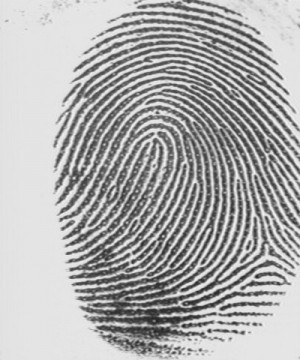 Your fingerprints are unique. That means that no one else in the world ...