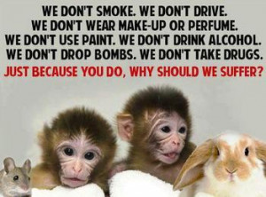 Is animal testing OK?