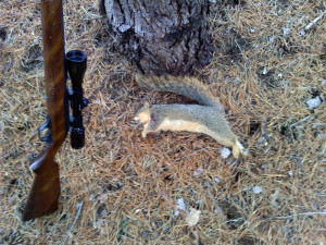 Hunting Indiana’s Sixth Annual Squirrel Contest