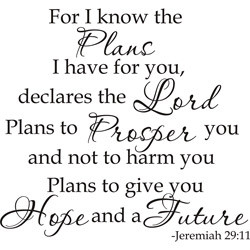 ... For I Know The Plans I Have For You Declares The Lord' Vinyl Art Quote