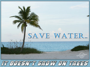 Funny Conserve Water Quotes