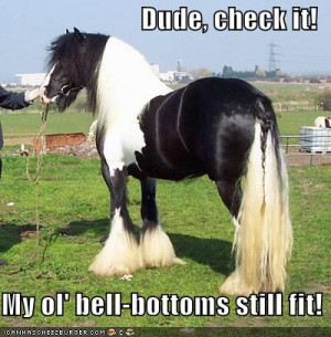 funny horse Pictures, funny horse Images, funny horse