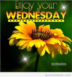 ... Wednesday humpday quotes for facebook wed status for fb flower family