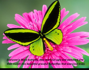 Displaying 14> Images For - Butterfly Quotes About Death...
