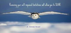 Soar on Pinterest - Eagles, Airplane and Famous Failures