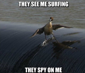 Nsa-Spying-Lvl-Ducks.jpg