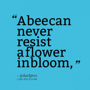 Quotes Picture: a bee can never resist a flower in bloom,