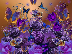 yorkshire_rose Purple roses and butterflies for Berni