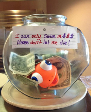 ... fun new random login home awesome tip jar idea funny fish tank money