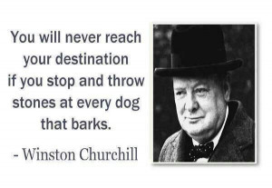 Don't throw stone at every dog that barks