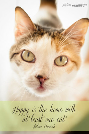 cat quotes happy is the home with at least one cat # cats # quotes ...