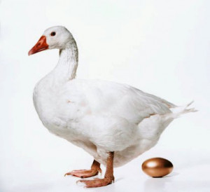goose and golden egg source http albawaba com golden goose back life ...