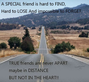 Friendship Quote: A SPECIAL friend is hard to FIND,... 20