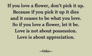 osho love is about appreciation