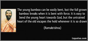 Bamboo Quotes