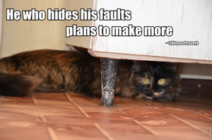 HOW TO: Quote Using Text-to-Image Tools (and Go Viral)