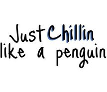 penguin, chillin, quotes, funny, words