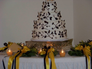 Foto Recenti Webs Counter